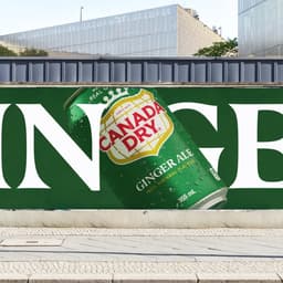 Brand And Packaging Refresh For Canada Dry cover image