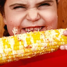 Brand Identity And Packaging For Matheson Food Company cover image