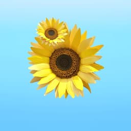 Promotional Campaign For A Hong Kong Retail Company cover image