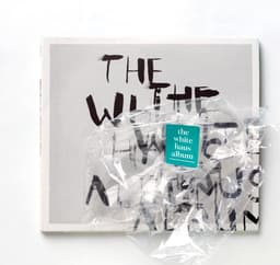 A Musical Performance Project For A Cultural Event  cover image