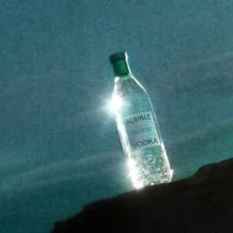 Brand And Packaging Design For Aupale Vodka cover image