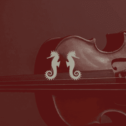 Brand Identity And Digital Design For An International Violin Dealer cover image