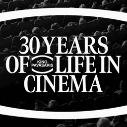 Visual Identity Rebrand For A Cultural Cinema Festival cover image