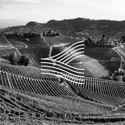 Visual Identity For Atlas Wine Studio cover image