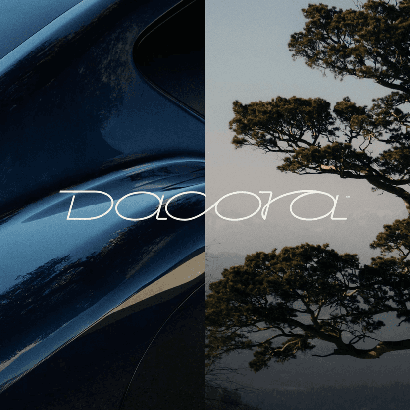 Brand development for a luxury automotive startup