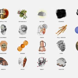 Visual Representation Of Flavors For A Modern Liquor Company cover image