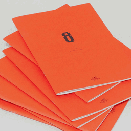 A Campaign For A Luxury Fashion Brand cover image