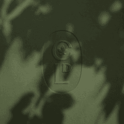 Brand Identity Development For A Family-owned Vineyard cover image