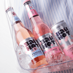 Packaging Design For An Innovative Beer Variety cover image