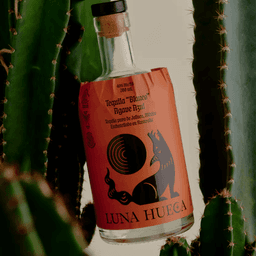 Brand Identity And Packaging For A New Tequila Brand cover image