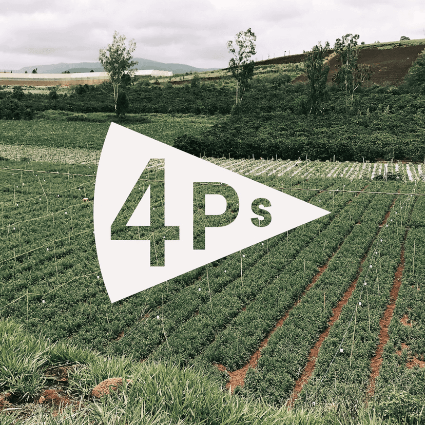 4Ps