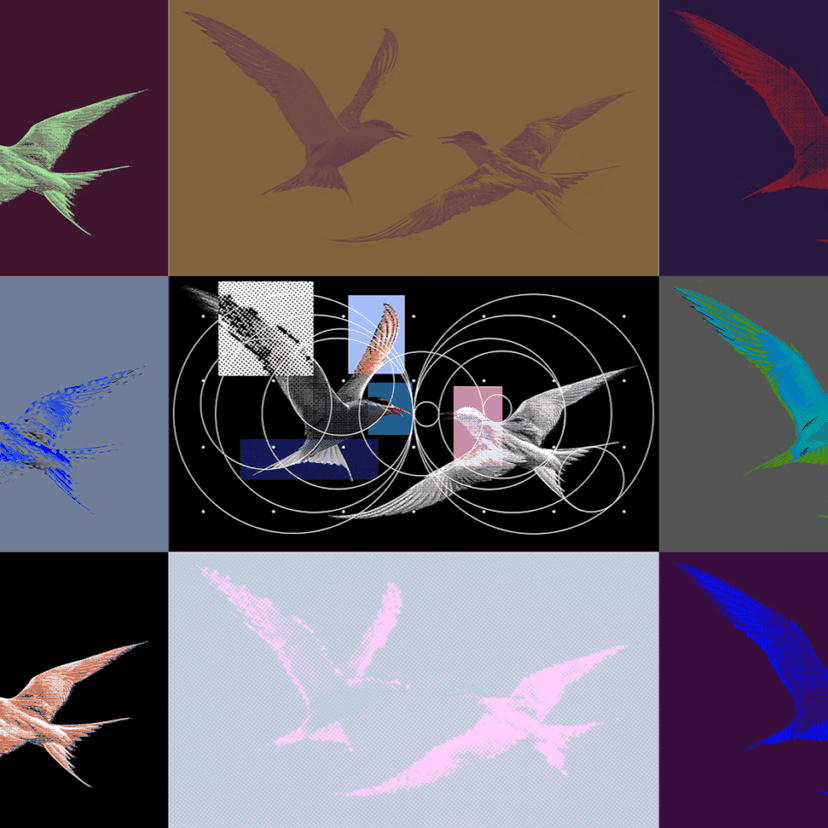 Launch film for a smartphone company