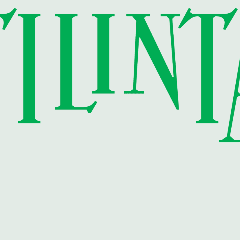 Brand identity and packaging for Tilinta