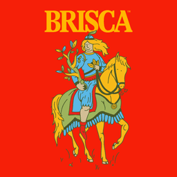 Case Study For Brisca cover image