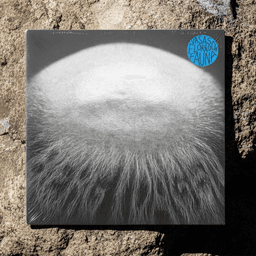 Record Sleeve And Digital Design For Vasas Flora Och Fauna cover image