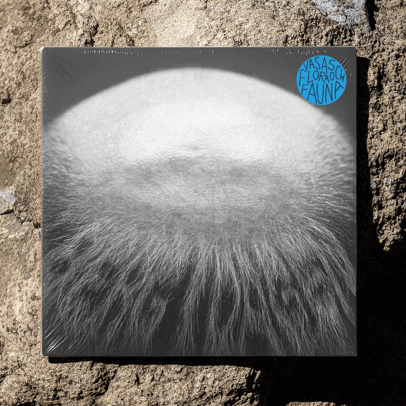 Vasas Flora Och Fauna Berg I Dagen