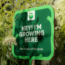 Visual Identity System For Vilnius As European Green Capital cover image