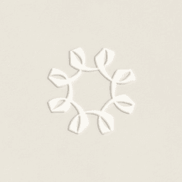 Branding, Packaging, And Art Direction For A D2c Menswear Brand cover image