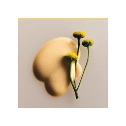 Brand Strategy, Identity, And Packaging For Elm Biosciences cover image