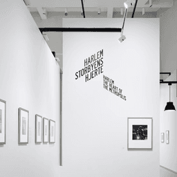 Exhibition Design For A Photography Exhibit  cover image