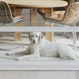 Imcollective - IMCOLLECTIVE design work cover image