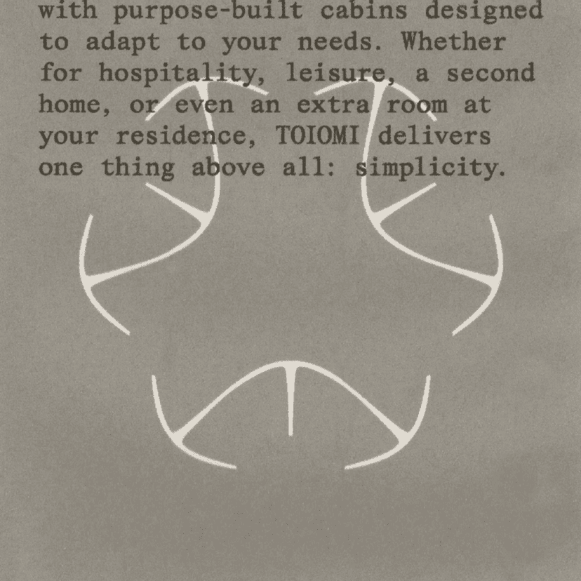 Brand Identity For Toiomi